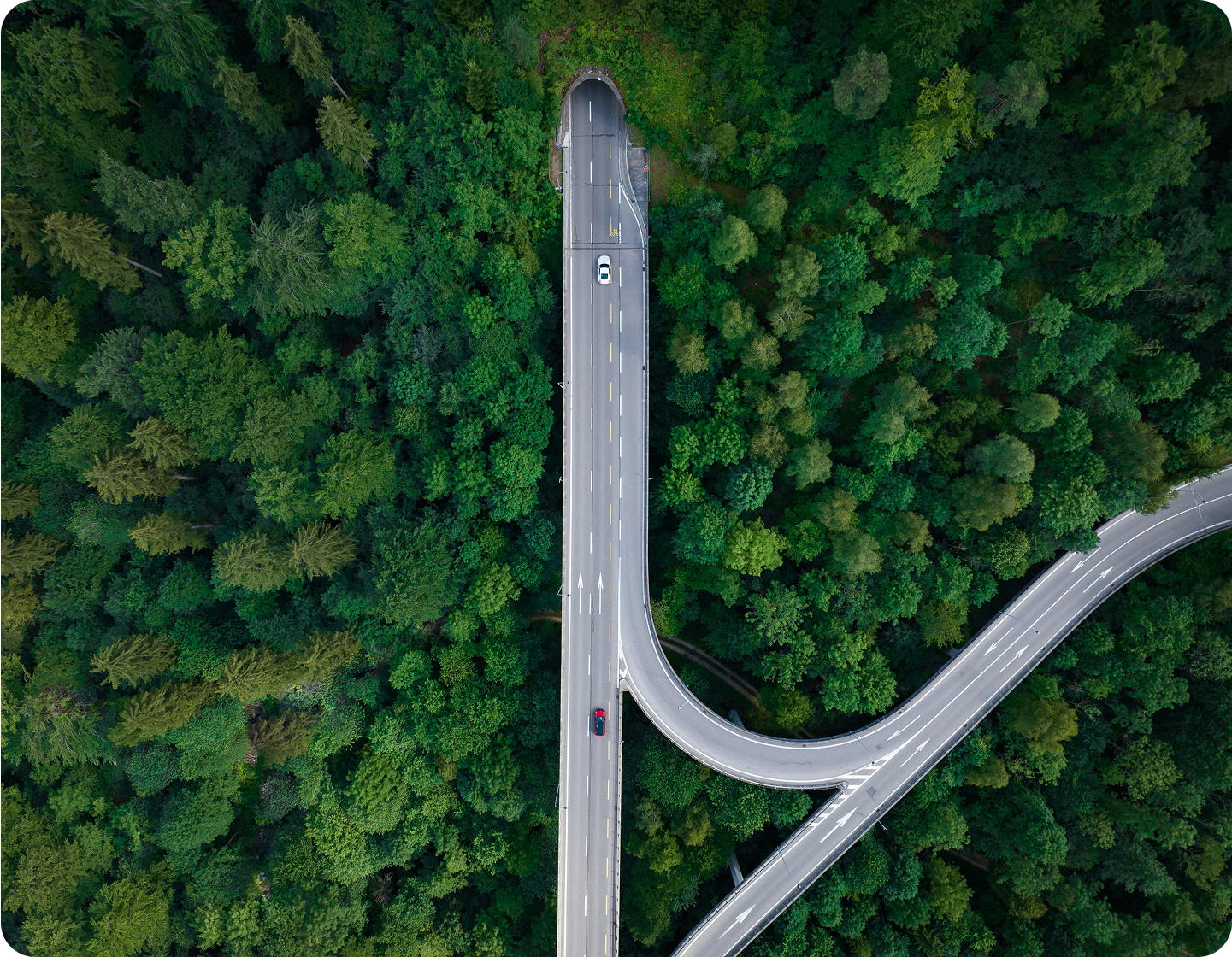 Aerial view of road through green forest
